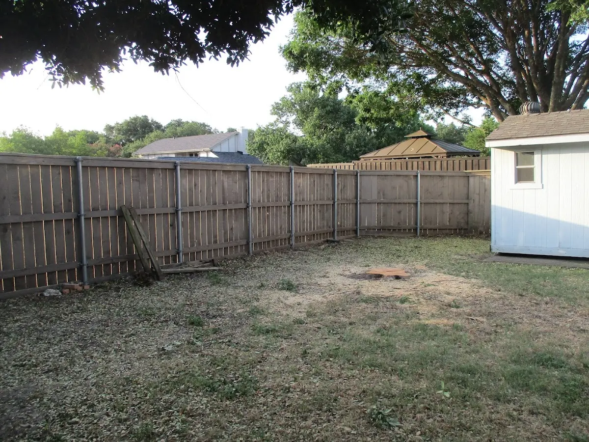 Cleared yard after professional tree removal in Curdsville